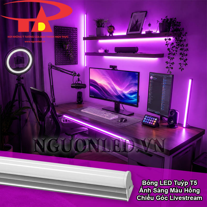 Đèn LED T5 liền máng màu hồng hắt sáng góc livestream