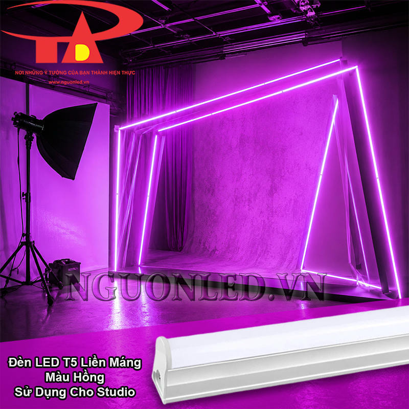 Bóng LED tuýp màu hồng dùng làm ánh sáng nền cho studio