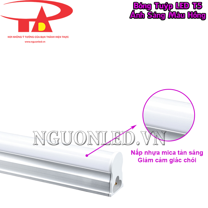 Đèn LED T5 màu hồng với nắp mica tản sáng đều và giảm cảm giác chói