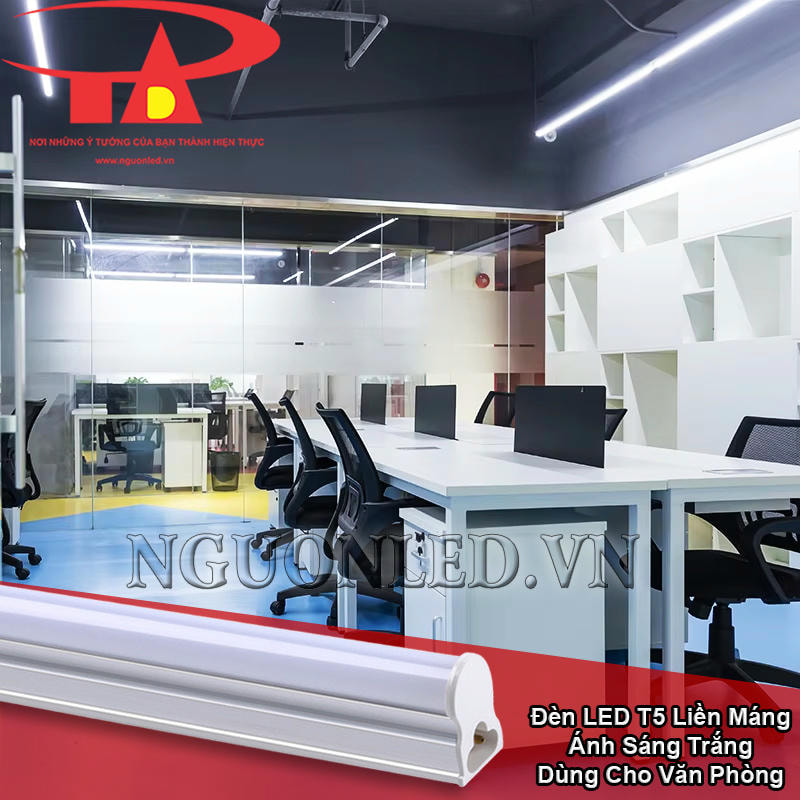 Đèn LED T5 ánh sáng trắng dùng trong văn phòng làm việc