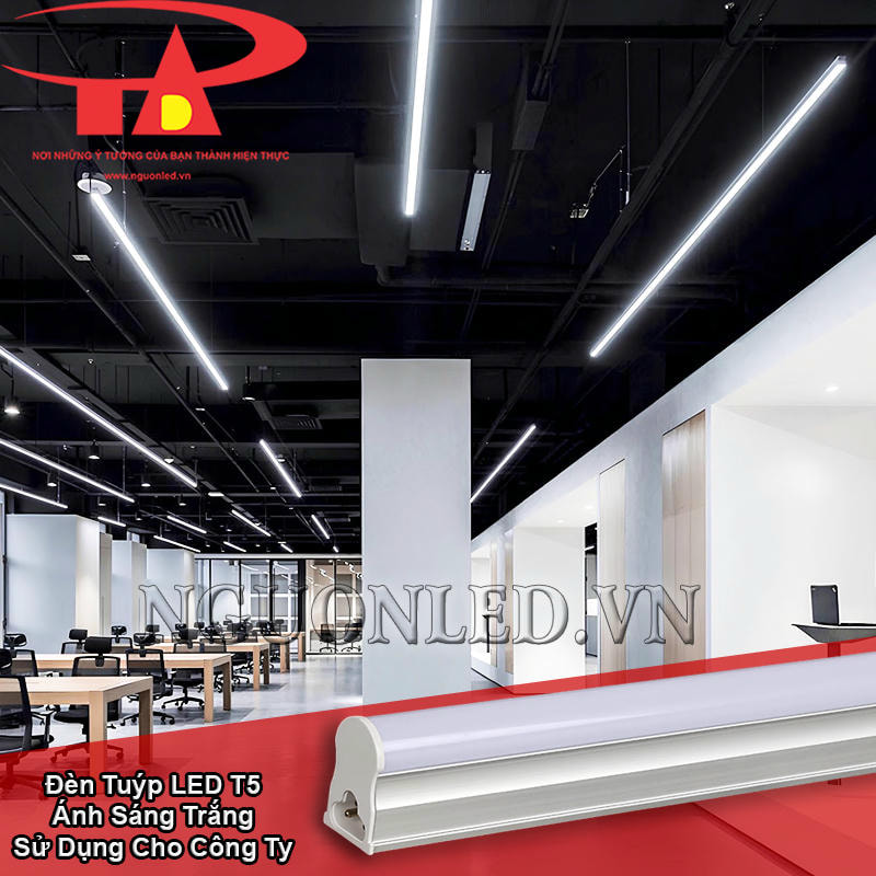 Đèn LED T5 màu trắng chiếu sáng khu vực quầy tiếp khách và lối đi nội bộ trong công ty nhỏ