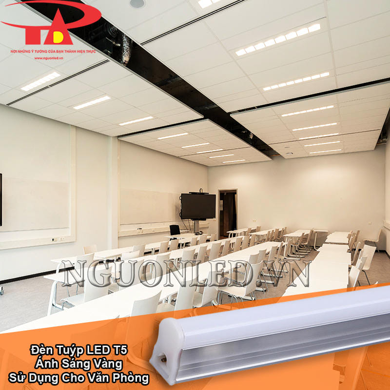 Đèn LED T5 ánh sáng vàng sử dụng cho văn phòng