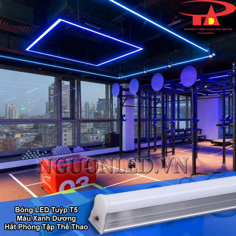 Đèn LED tuýp T5 màu xanh dương dùng hắt sáng cho phòng tập thể thao