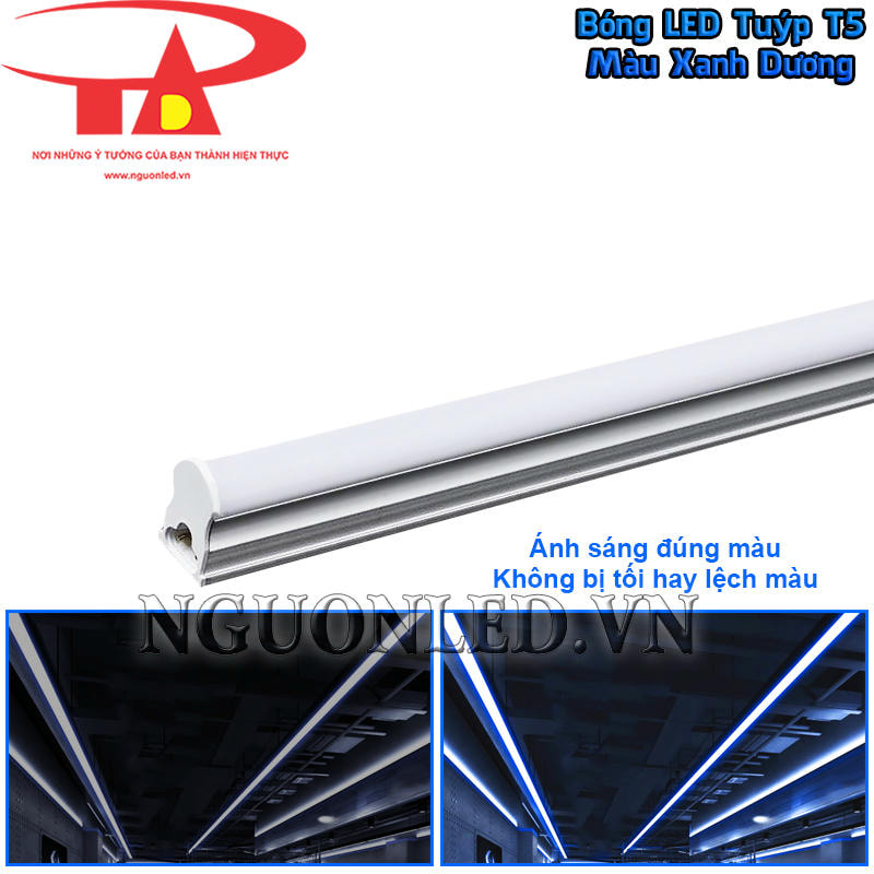 Đèn LED T5 màu xanh dương với ánh sáng hiển thị đúng màu sắc