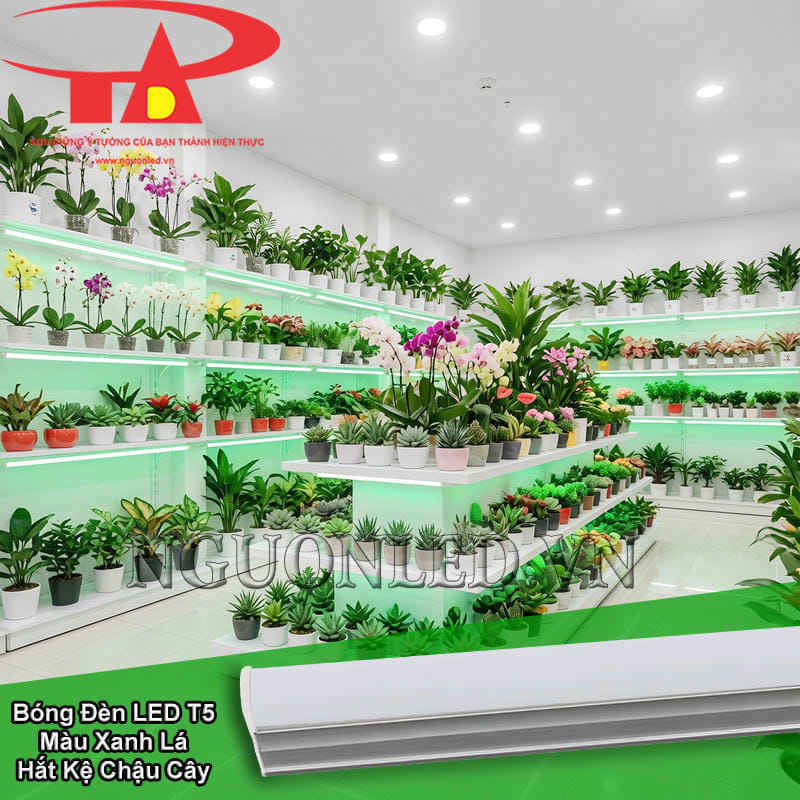 Bóng đèn LED T5 màu xanh lá hắt kệ chậu cây