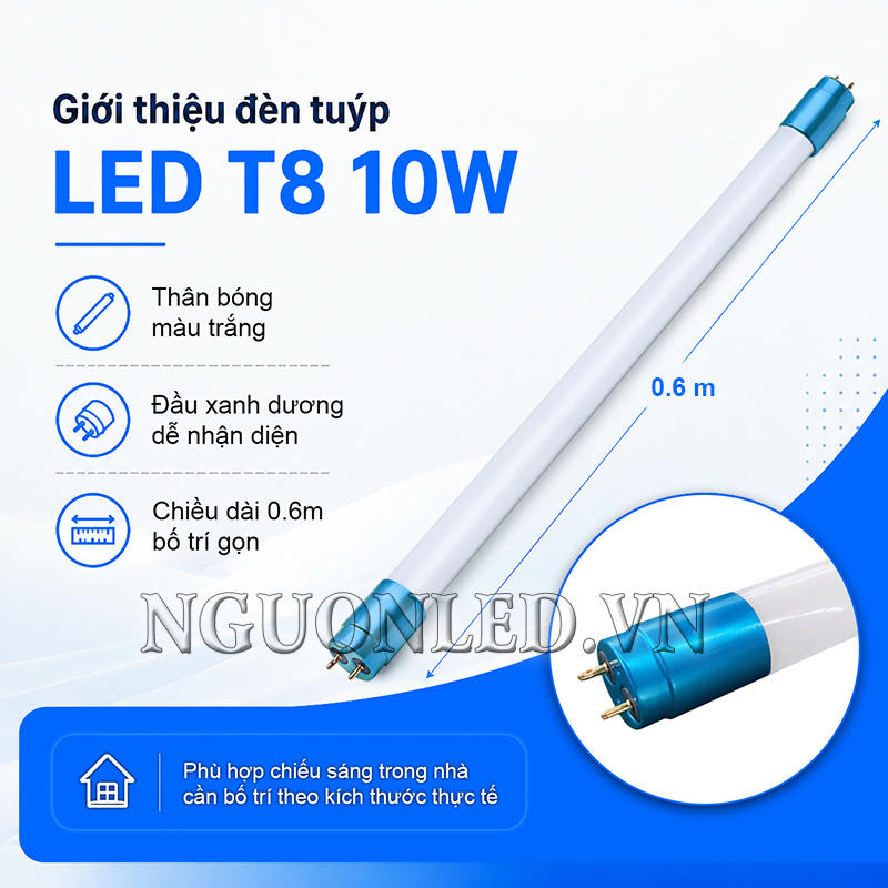 Đèn tuýp LED 10W T8 dài 60cm đầu xanh dương, thân trắng gọn cho các khoảng lắp ngắn trong nhà