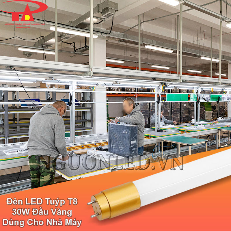 Đèn tuýp LED T8 30W chiếu sáng nhà máy với ánh sáng rõ ràng