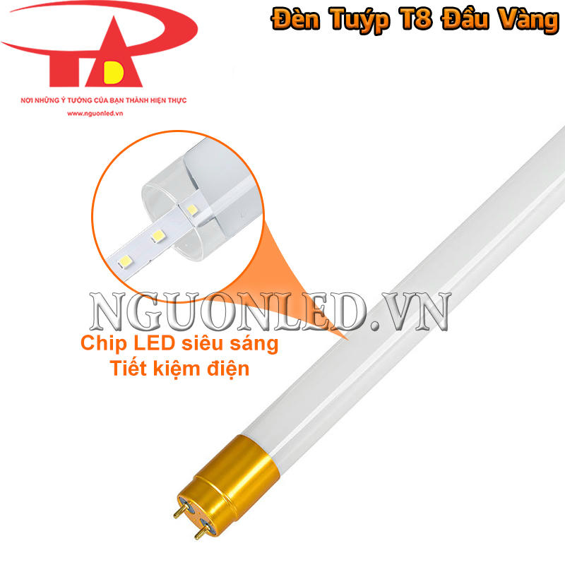 Đèn tuýp T8 đầu vàng chip LED siêu sáng, tiết kiệm điện