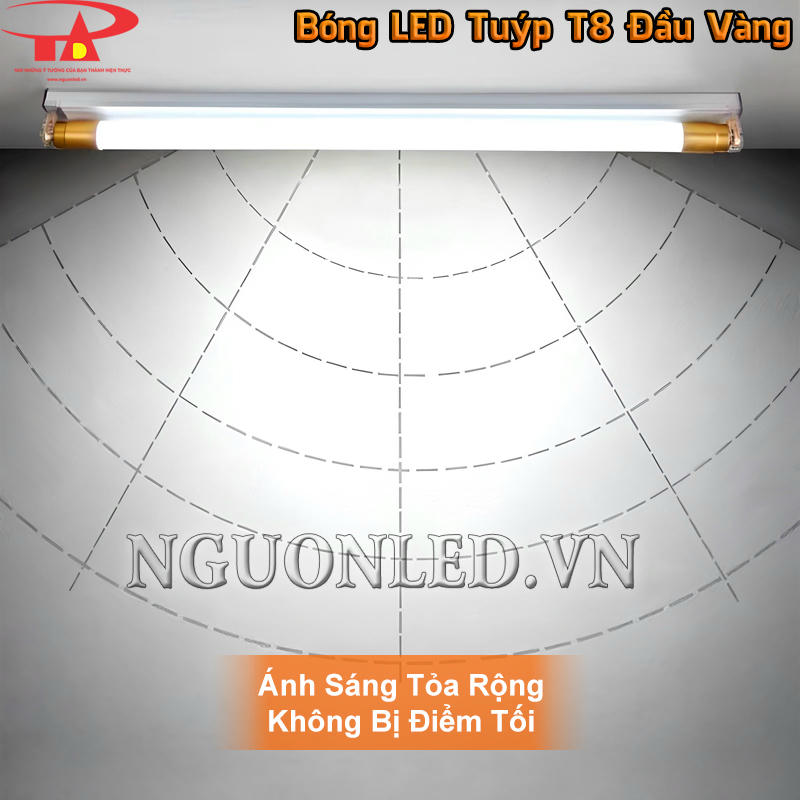 Đèn tuýp T8 đầu vàng ánh sáng tỏa rộng, không bị điểm tối