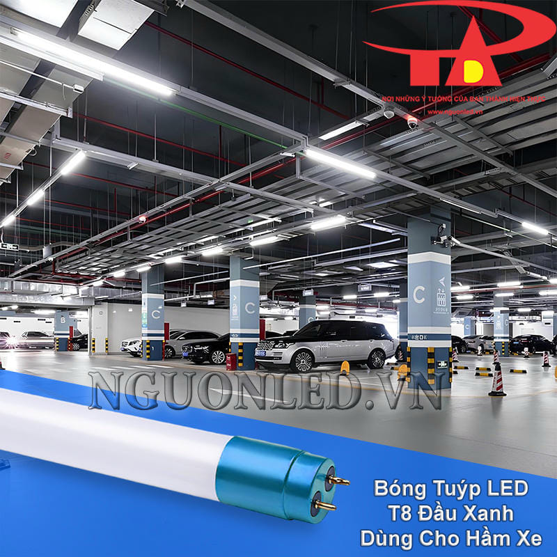 Đèn LED tuýp 32W đầu xanh dùng cho hầm giữ xe