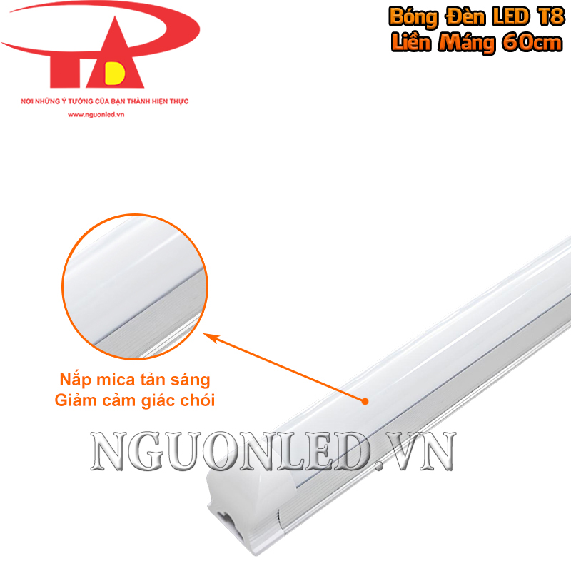 Nắp mica tán sáng trên thân bóng LED T8 liền máng 60cm