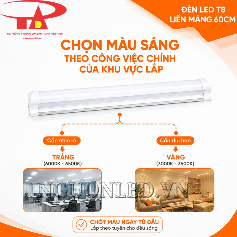 Đèn T8 liền máng có ánh sáng trắng 6000K - 6500K và vàng 3000K - 3500K