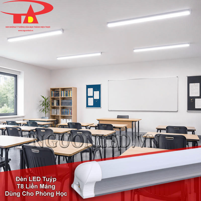 Đèn tuýp T8 liền máng bố trí theo các dãy bàn trong phòng học
