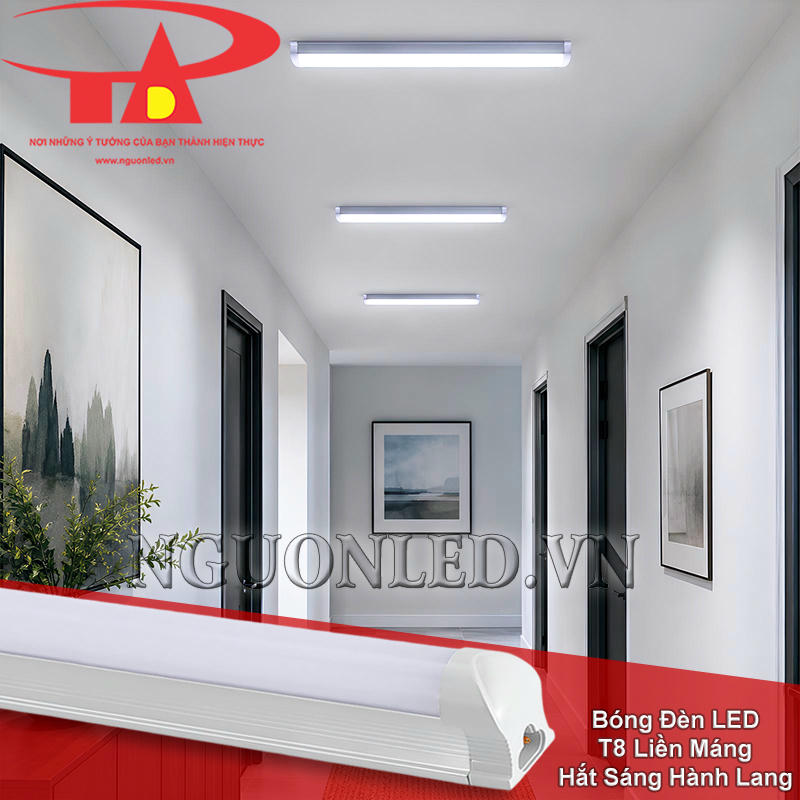 Đèn T8 liền máng lắp theo tuyến trên trần hành lang