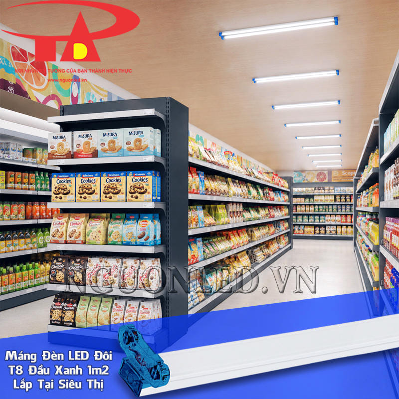 Máng tuýp LED đôi T8 1m2 đầu xanh bố trí dọc dãy kệ siêu thị mini để tổ chức chiếu sáng chung