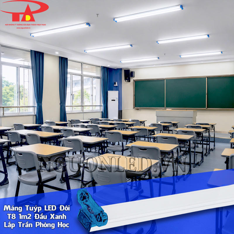 Máng đèn đôi 1m2 đầu xanh bố trí trên trần lớp học, đi theo khu vực dãy bàn và hướng giảng dạy