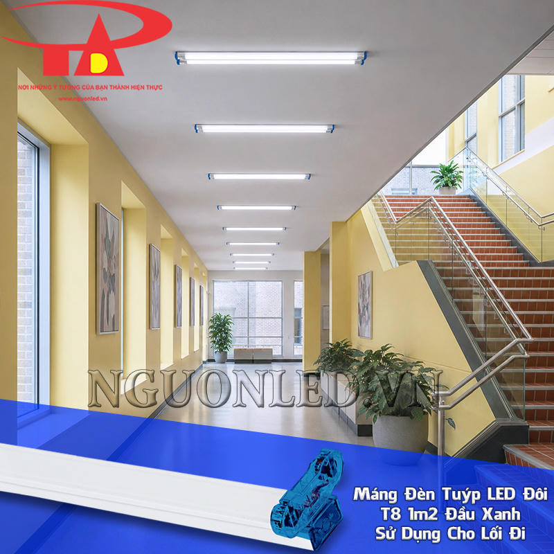 Máng đèn T8 đôi 1m2 đầu xanh bố trí theo lối đi có cầu thang và các đoạn chuyển hướng trong công trình