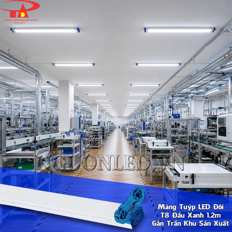Máng đèn LED 1m2 T8 đầu xanh được lắp theo các dãy trong nhà xưởng quanh khu sản xuất và bàn thao tác