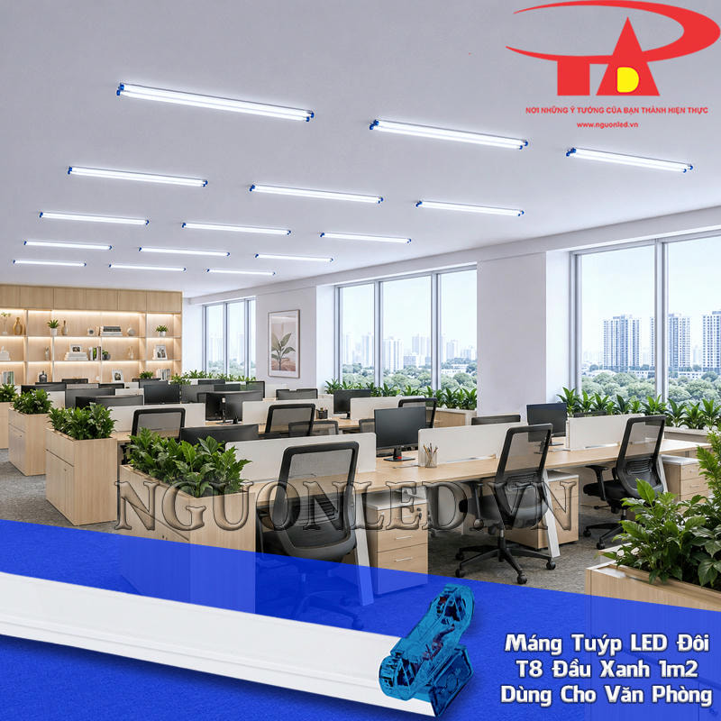 Máng bóng đèn tuýp đôi 1m2 đầu xanh sắp thành hàng trên trần văn phòng theo các cụm bàn làm việc