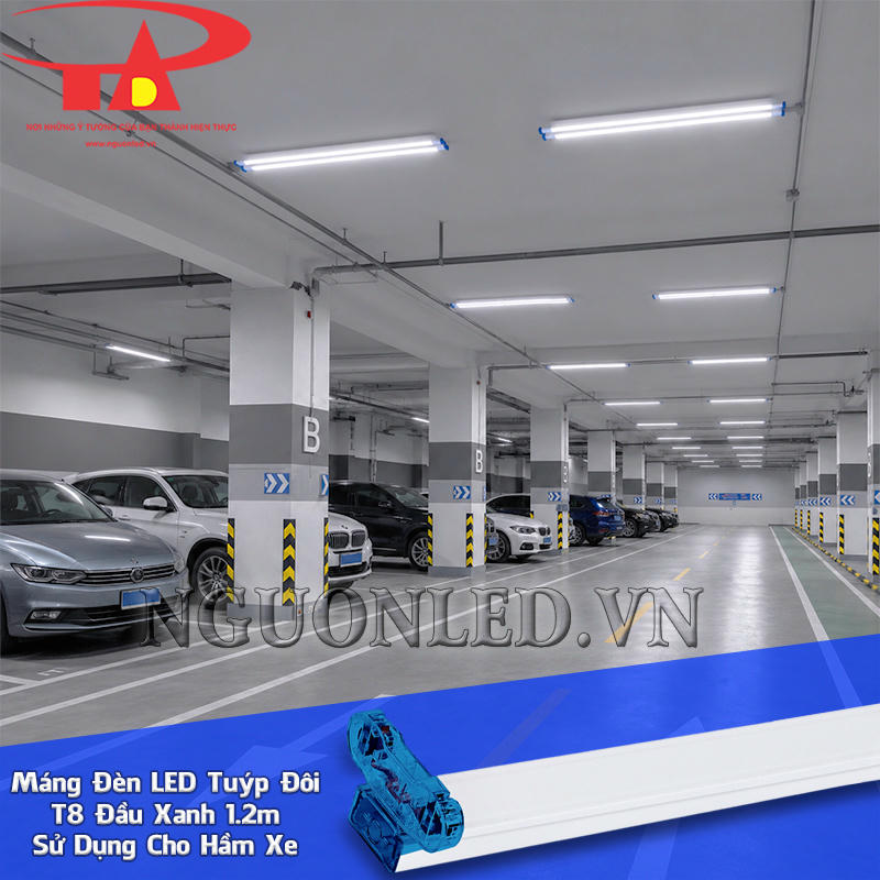 Máng đèn tuýp LED đôi 1.2m T8 đầu xanh bố trí theo dãy đỗ và lối xe chạy trong khu để xe trong nhà