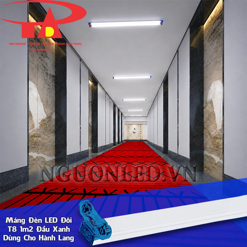 Máng đèn LED T8 1.2m đầu xanh lắp nối tiếp theo chiều dài hành lang, tạo các điểm đèn dọc trục lưu thông