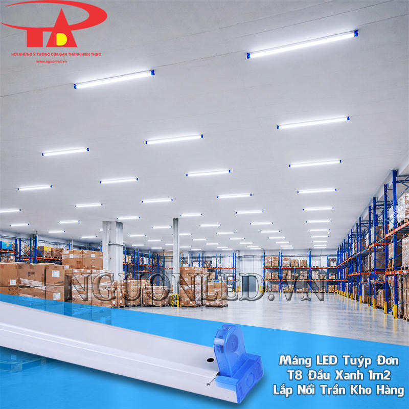 Máng đèn T8 1.2m đơn đầu xanh giữ bóng theo tuyến kệ hàng trong kho nhỏ