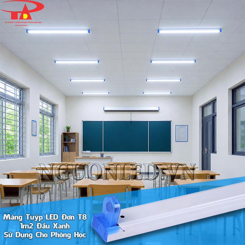 Máng đèn tuýp LED đơn đầu xanh 1m2 giữ bóng T8 thành hàng theo dãy bàn phòng học