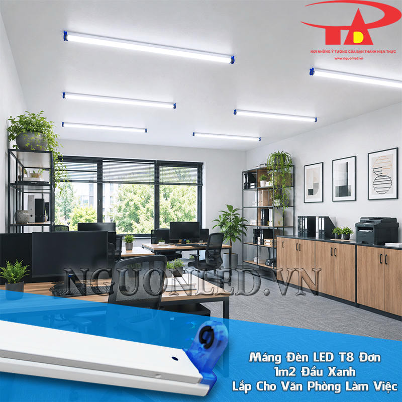 Máng đèn LED 1m2 đơn đầu xanh định vị bóng T8 theo từng cụm bàng làm việc trong văn phòng