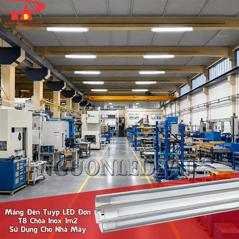 Máng đèn LED đơn T8 phản quang inox 1m2 bố trí theo tuyến máy, nơi bóng T8 cung cấp ánh sáng làm việc