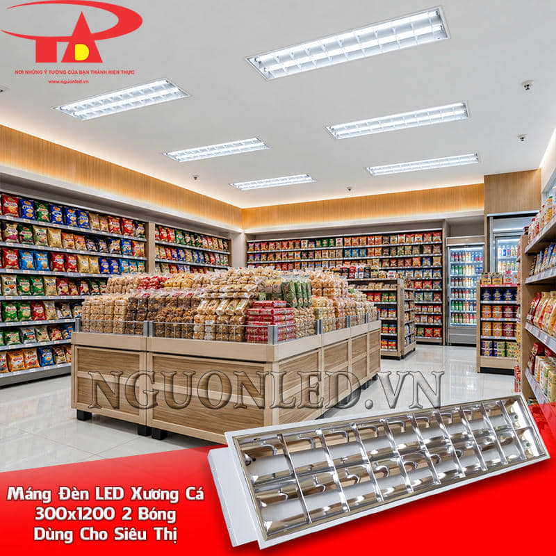 Máng đèn xương cá 300x1200 2 bóng lặp theo lối hàng siêu thị, song song với các dãy kệ bên dưới