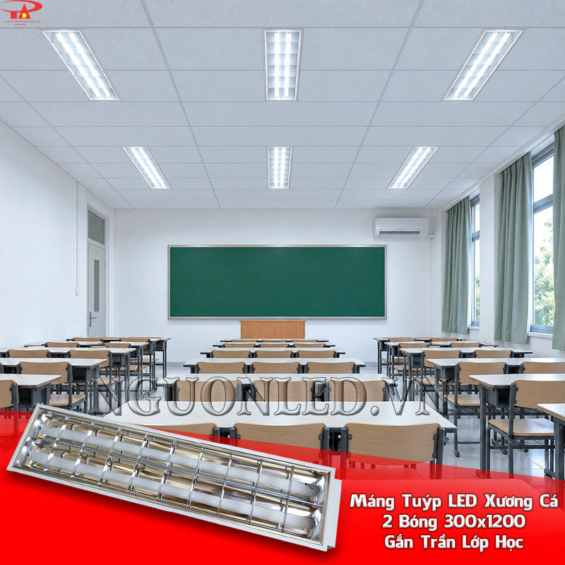 Máng đèn tuýp xương cá 300x1200 2 bóng chạy thành tuyến theo chiều dài lớp học từ bảng đến cuối phòng