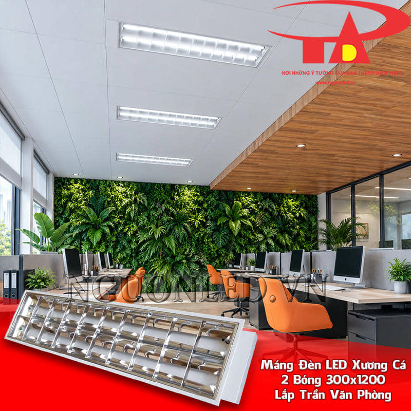 Máng đèn LED âm trần 300x1200 2 bóng bố trí theo tuyến trên trần văn phòng dọc các dãy bàn và lối đi