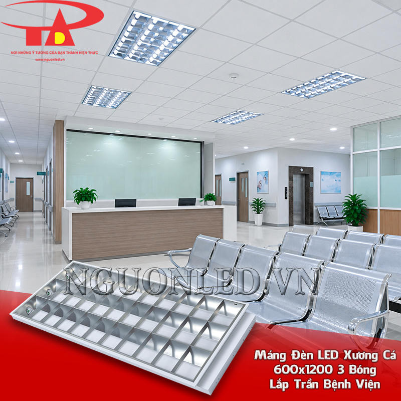 Máng đèn LED xương cá 600x1200 3 bóng lắp âm trần tại khu chờ bệnh viện