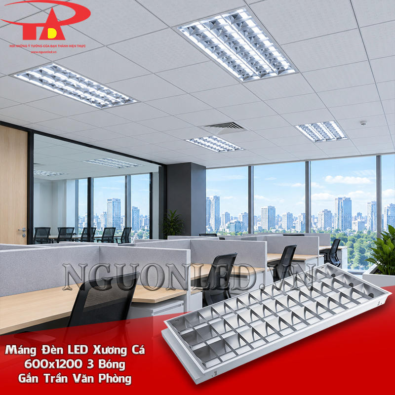 Máng đèn LED âm trần 600x1200 3 bóng bố trí theo lưới la phông tại khu bàn làm việc văn phòng