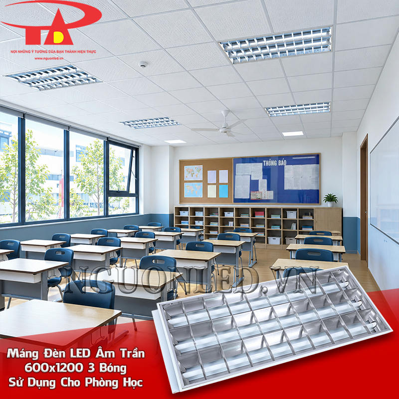 Máng đèn âm trần 3 bóng 600x1200 bố trí theo chiều phòng học và các dãy bàn