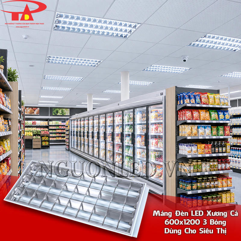 Máng đèn tuýp xương cá 600x1200 3 bóng bố trí âm trần dọc các dãy hàng trong siêu thị