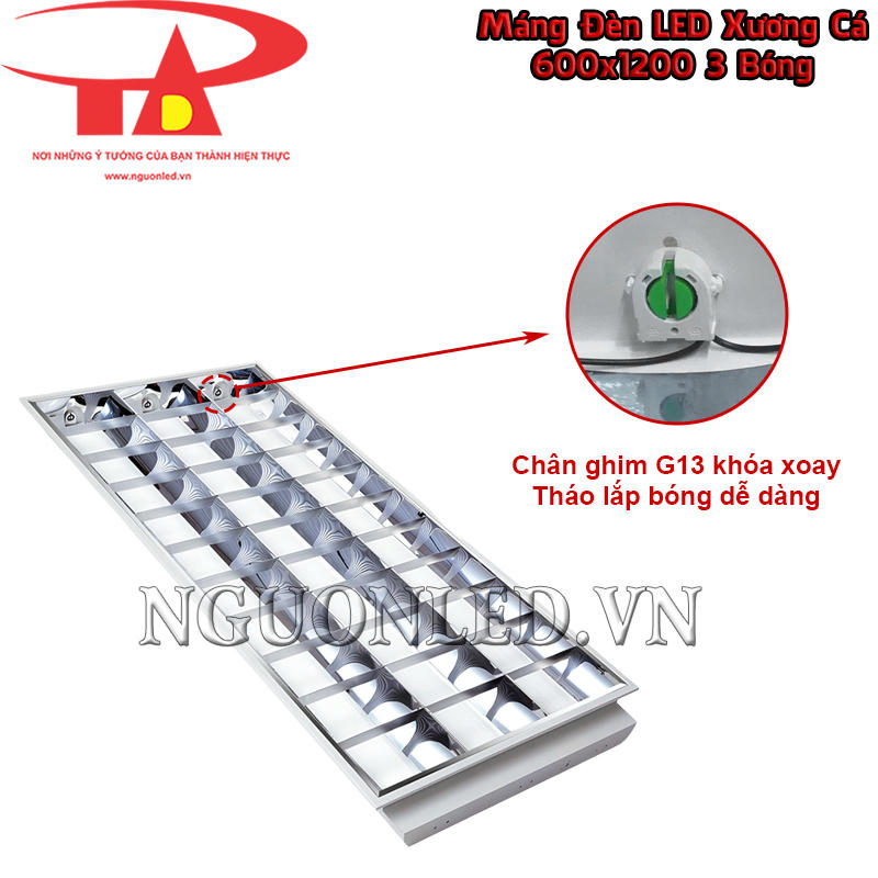 Máng đèn LED xương cá 600x1200 3 bóng với đầu ghim G13 khóa xoay giữ từng bóng