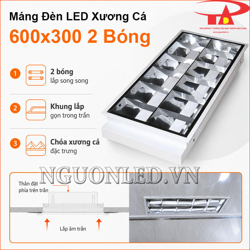 Máng đèn LED xương cá 600x300 2 bóng dạng âm trần với hai bóng song song