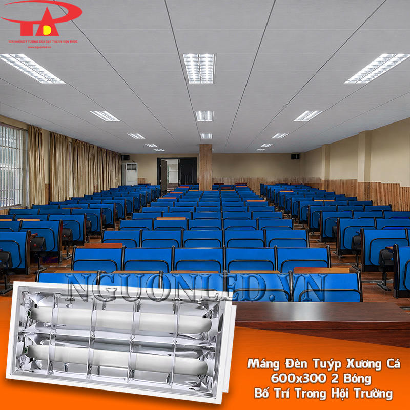 Máng đèn LED xương cá 600x300 2 bóng bố trí nối tiếp theo chiều sâu khu vực ghế hội trường