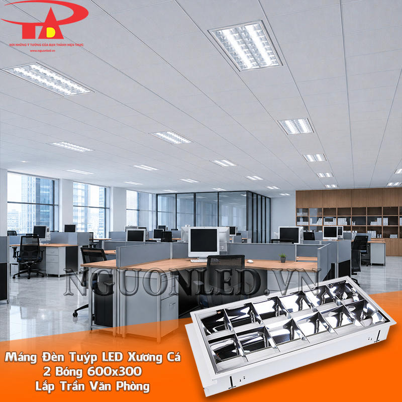 Máng đèn xương cá 600x300 2 bóng bố trí theo hàng trên trần văn phòng dọc khu vực làm việc