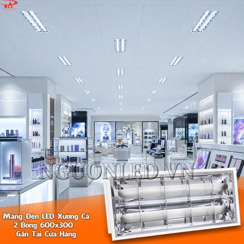 Máng đèn LED xương cá 600x300 2 bóng bố trí trên trần dọc lối đi và khu trưng bày cửa hàng