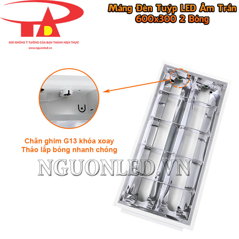 Máng đèn LED xương cá 600x300 2 bóng với đui G13 khóa xoay để tháo lắp bóng T8