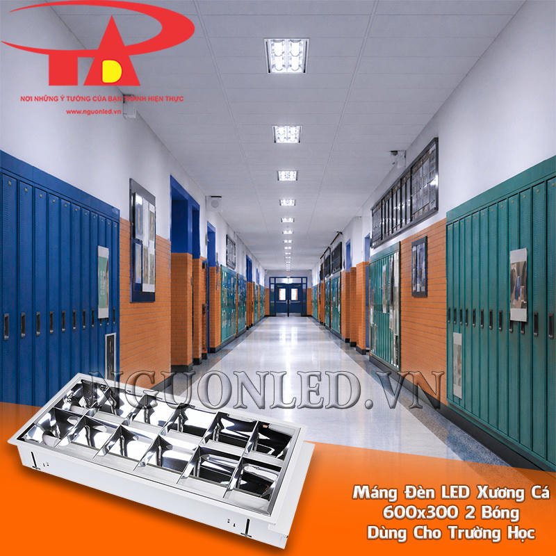 Máng đèn xương cá âm trần 2 bóng 600x300 lắp nối tiếp dọc hành lang trường học