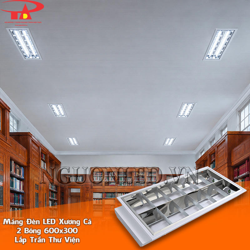 Máng đèn LED âm trần 600x300 2 bóng bố trí trên bàn đọc và các dãy kệ trong thư viện