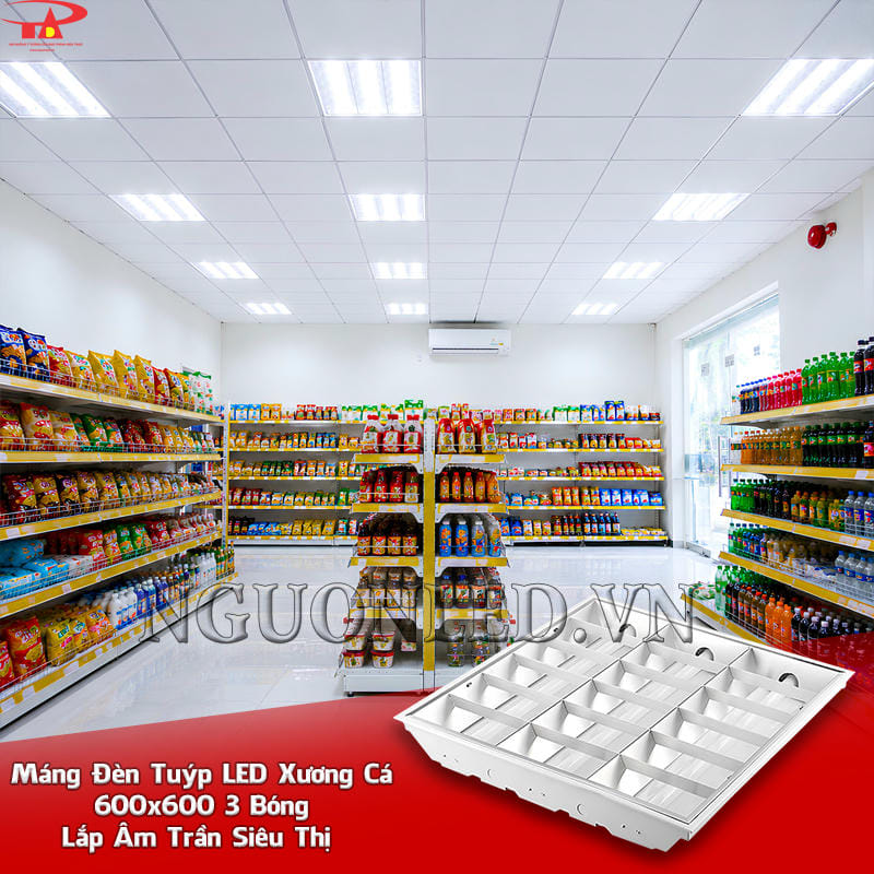 Máng đèn âm trần 3 bóng 600x600 bố trí dọc các dãy kệ và lối mua sắm trong siêu thị