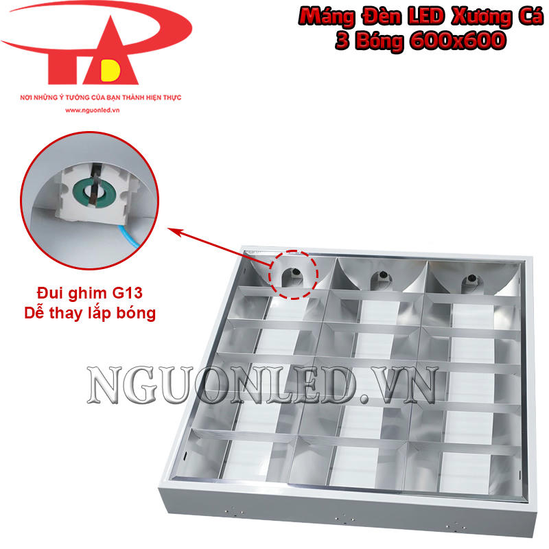Đui G13 trên máng xương cá 600x600 giữ hai chân bóng T8 và cho phép xoay khóa khi lắp