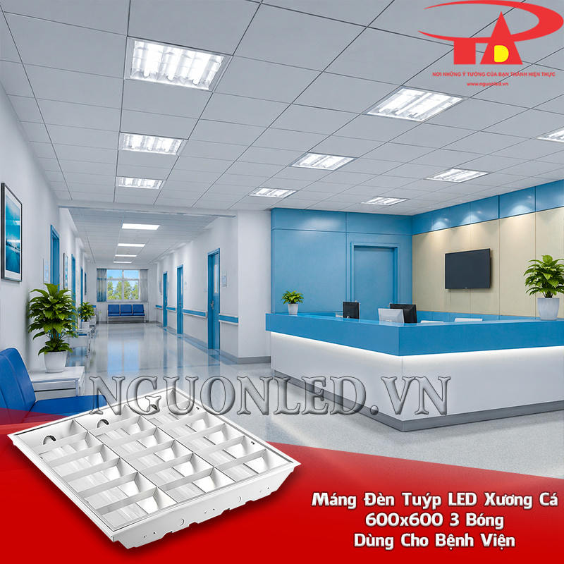 Máng đèn tuýp xương cá 600x600 3 bóng lắp theo hành lang và khu tiếp nhận của bệnh viện
