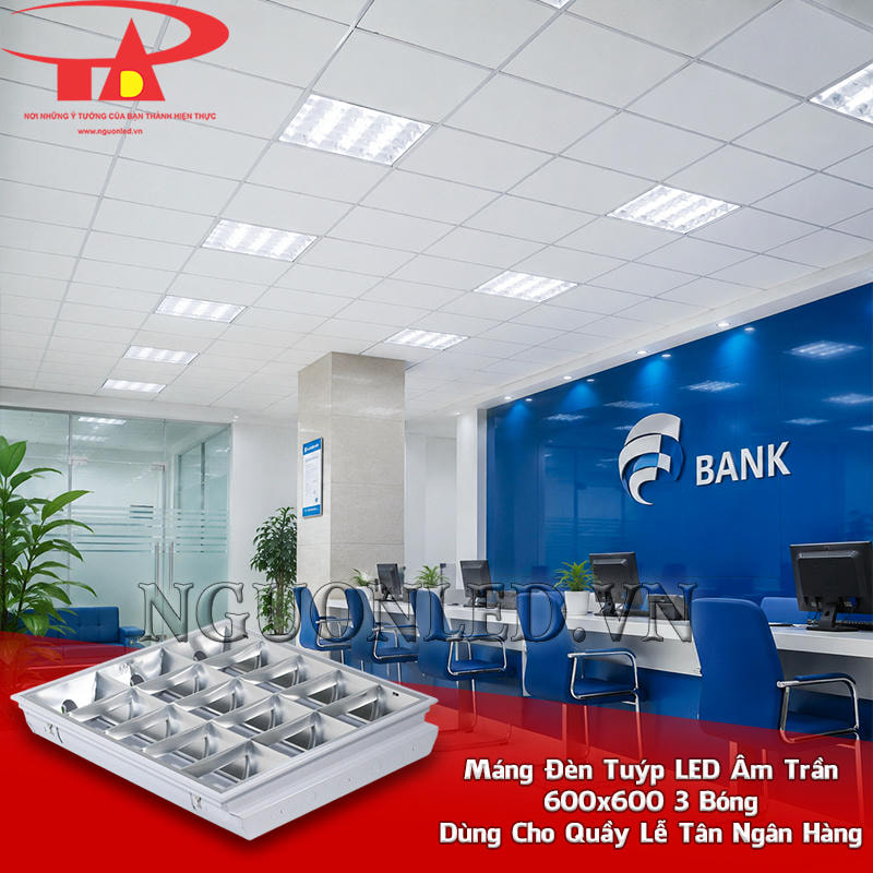 Máng đèn xương cá âm trần 3 bóng 600x600 bố trí trên khu quầy giao dịch và vùng khách chờ ngân hàng