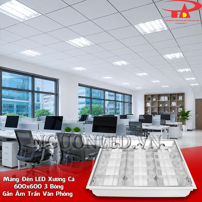 Máng đèn LED âm trần 600x600 3 bóng bố trí theo các cụm bàn và lối đi trong văn phòng