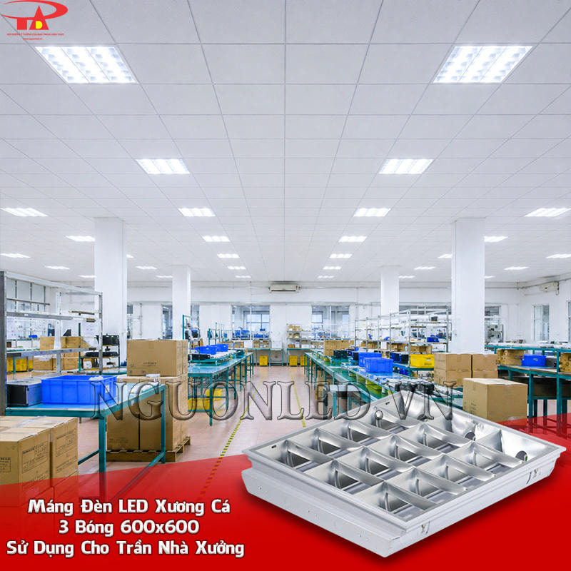 Máng đèn LED xương cá 600x600 3 bóng bố trí trên các dãy bàn thao tác trong khu sản xuất nhà xưởng